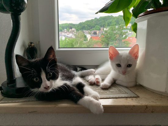 No01 - &copy; Tom Loewen | 14x3.de