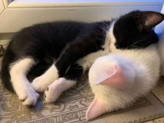 No02 - &copy; Tom Loewen | 14x3.de