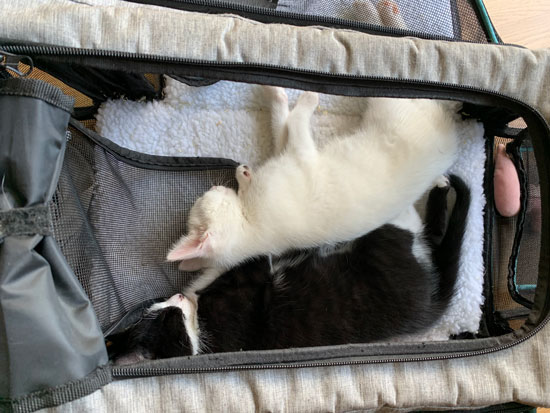 No03 - &copy; Tom Loewen | 14x3.de