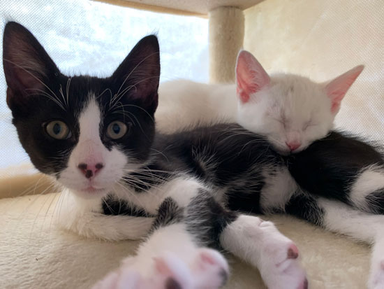 No05 - &copy; Tom Loewen | 14x3.de