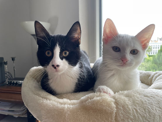 No06 - &copy; Tom Loewen | 14x3.de