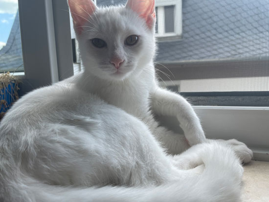 No07 - &copy; Tom Loewen | 14x3.de