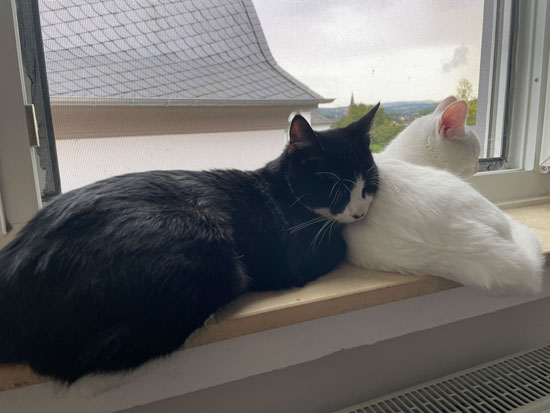 No08 - &copy; Tom Loewen | 14x3.de