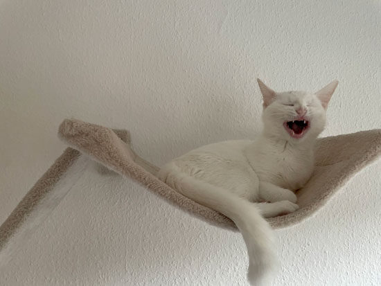 No09 - &copy; Tom Loewen | 14x3.de