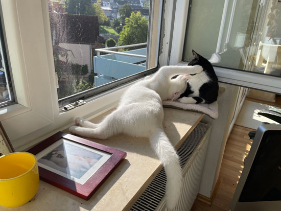 No10 - &copy; Tom Loewen | 14x3.de