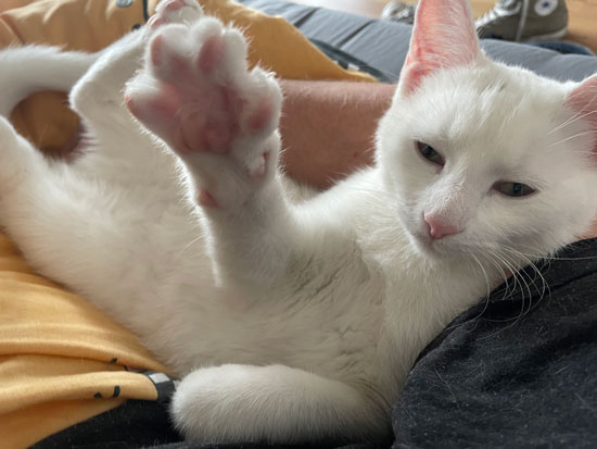 No11 - &copy; Tom Loewen | 14x3.de