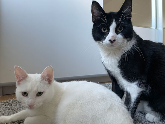 No12 - &copy; Tom Loewen | 14x3.de